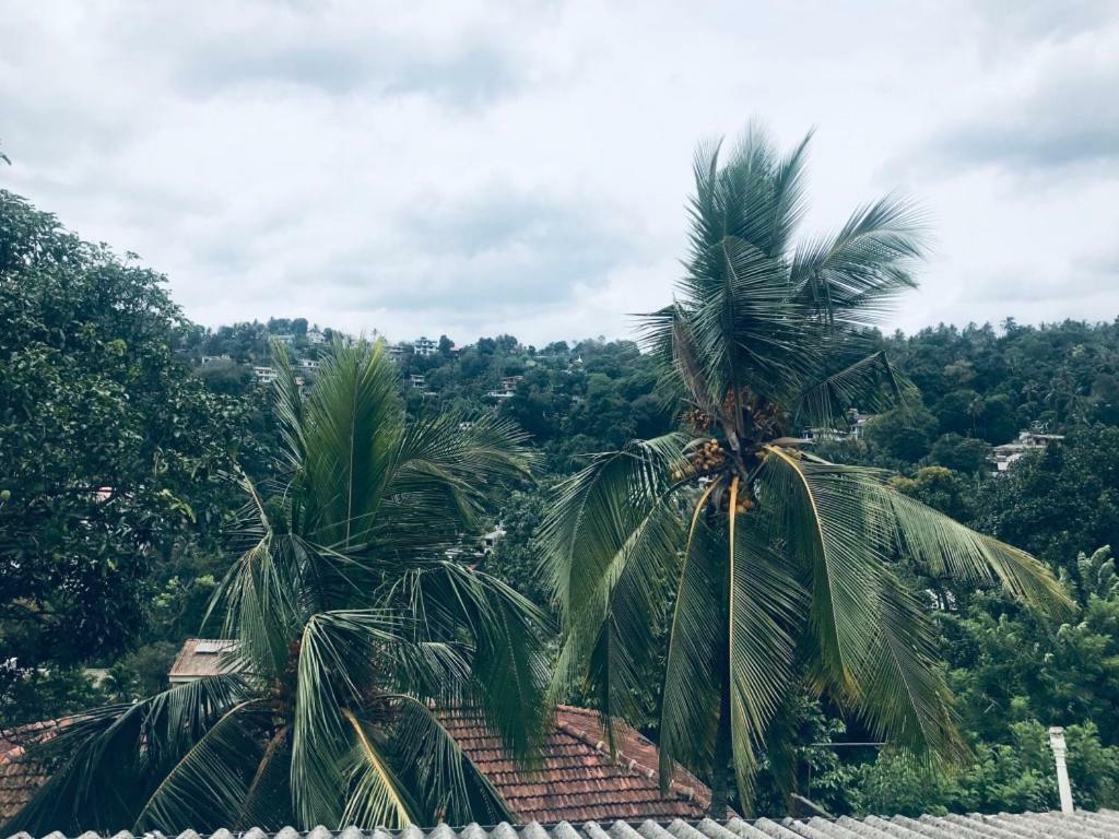 Luxury Apartment The Walkers Nest Kandy Ngoại thất bức ảnh